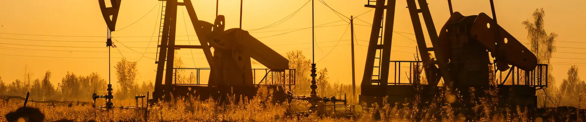 QHSE Management System